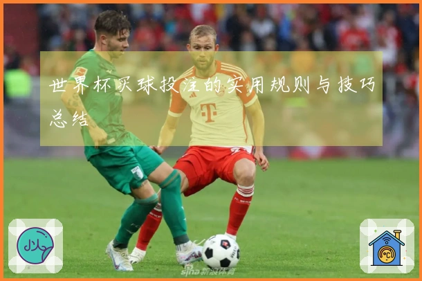 世界杯买球投注的实用规则与技巧总结