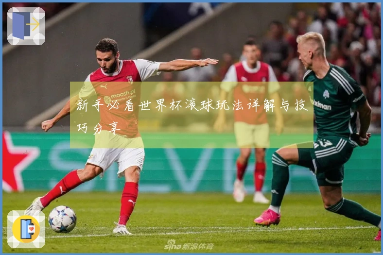 新手必看世界杯滚球玩法详解与技巧分享