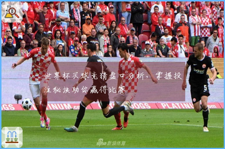 世界杯买球竞猜盘口分析，掌握投注秘诀助你赢得比赛