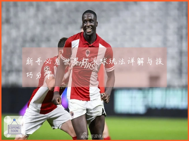新手必看世界杯滚球玩法详解与技巧分享