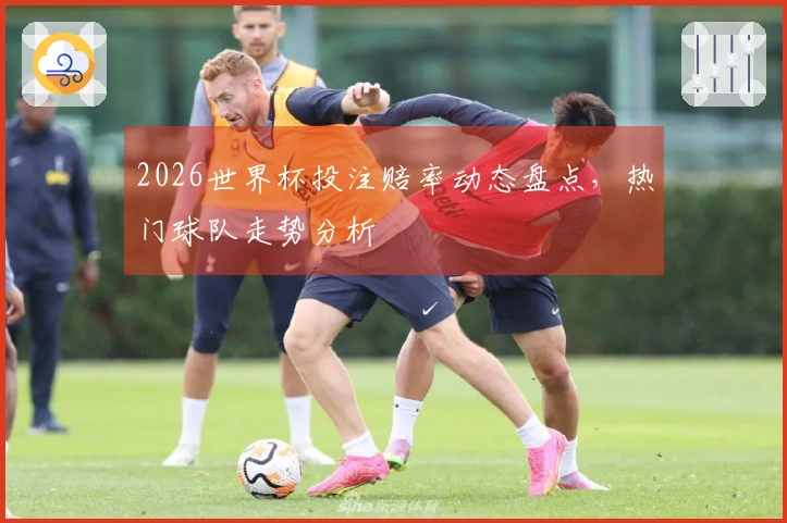 2026世界杯投注赔率动态盘点，热门球队走势分析