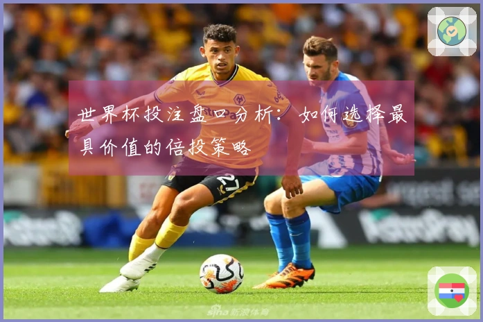 世界杯投注盘口分析：如何选择最具价值的倍投策略