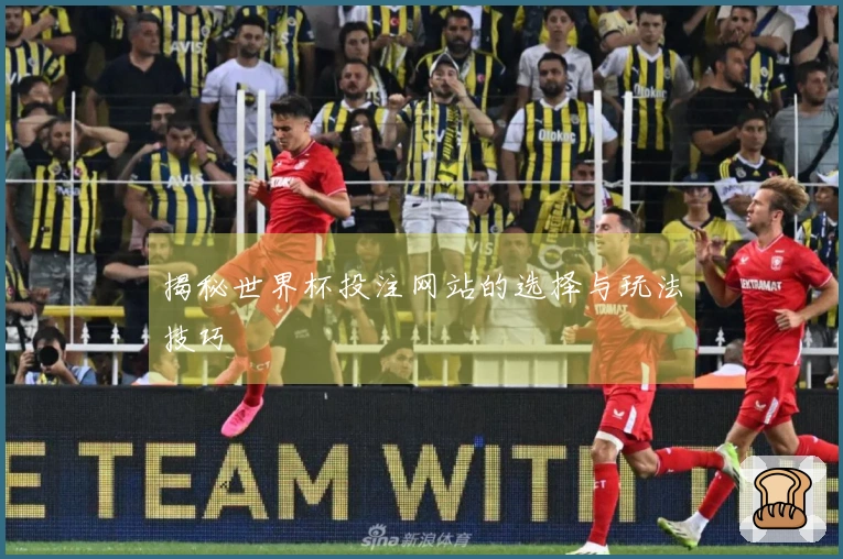 揭秘世界杯投注网站的选择与玩法技巧