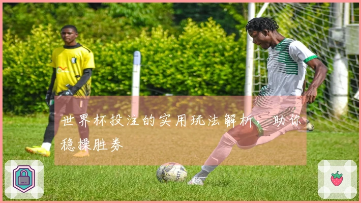 世界杯投注的实用玩法解析，助你稳操胜券