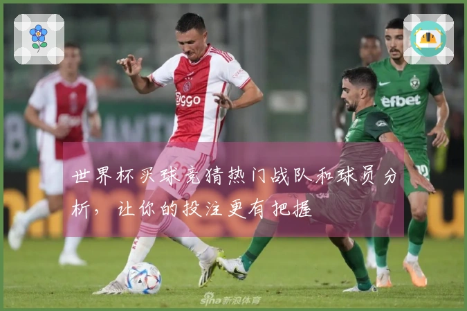 世界杯买球竞猜热门战队和球员分析，让你的投注更有把握