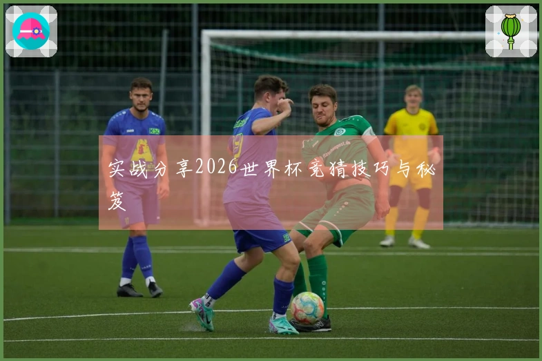 实战分享2026世界杯竞猜技巧与秘笈