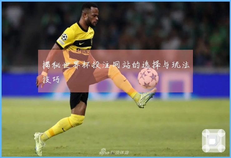揭秘世界杯投注网站的选择与玩法技巧