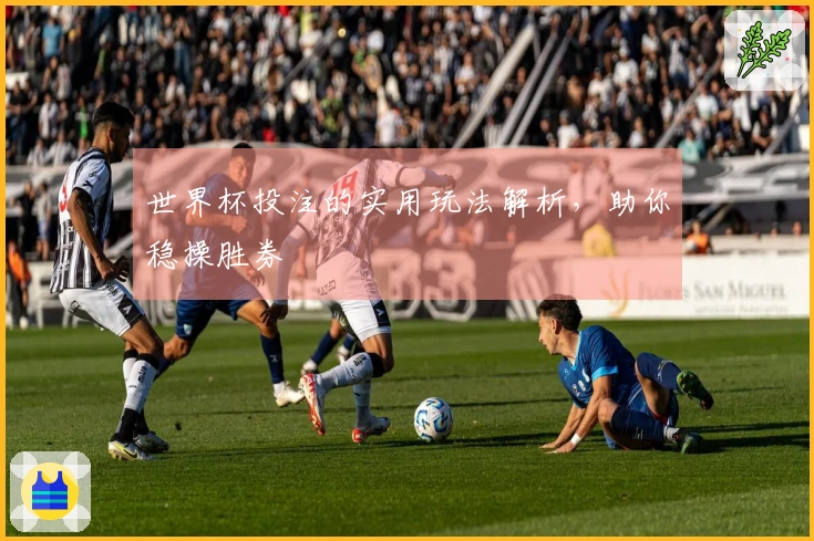 世界杯投注的实用玩法解析，助你稳操胜券